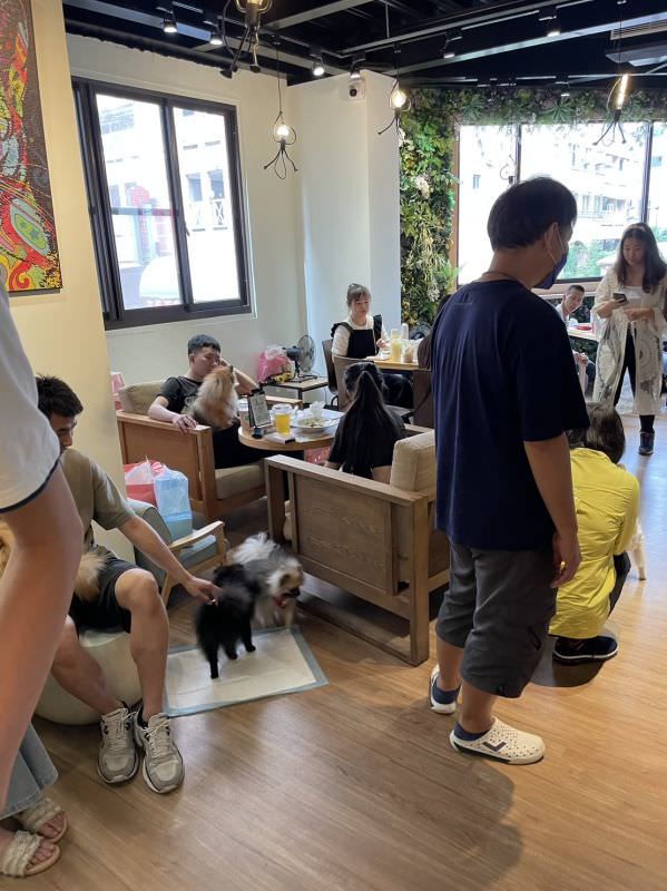 森林小徑精誠店对宠物超友善